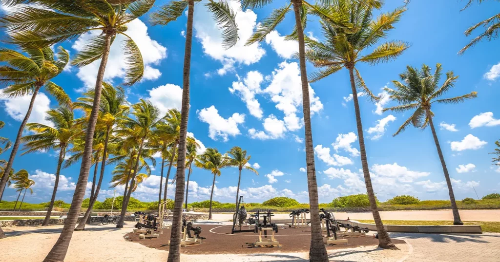 A outdoor gym at Palm Beach Miami for yacht crew to stay fit during PBIBS